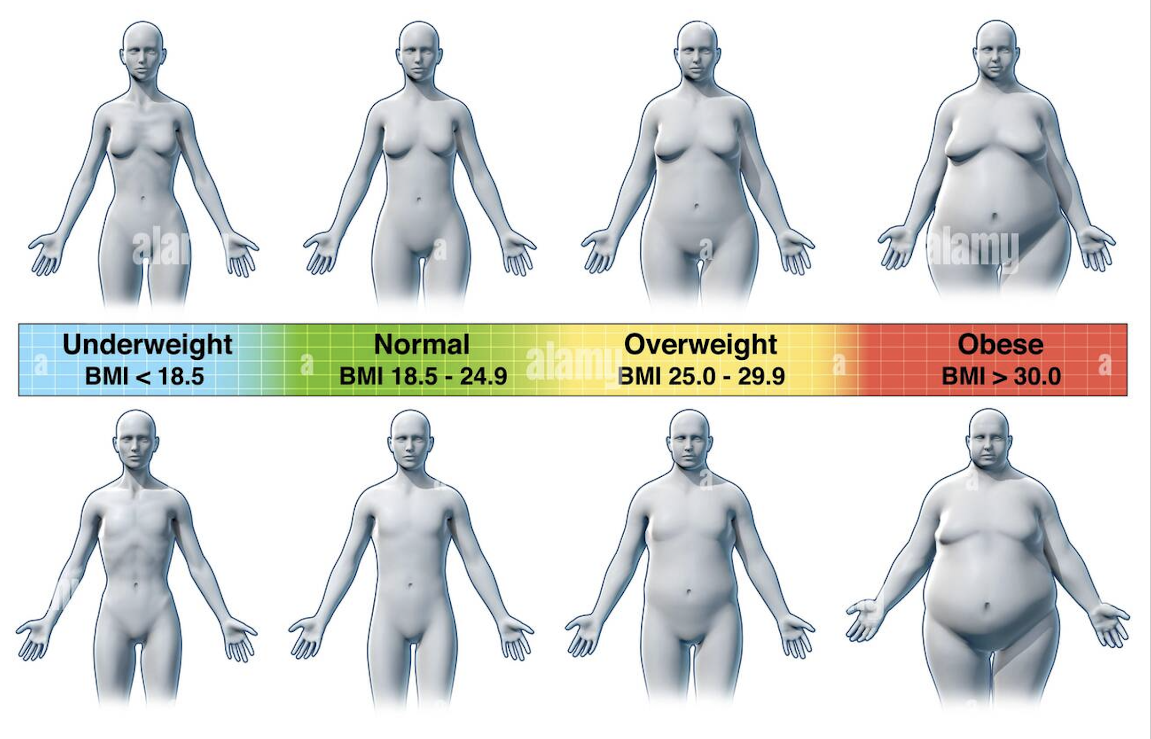 Informations sur le BMI